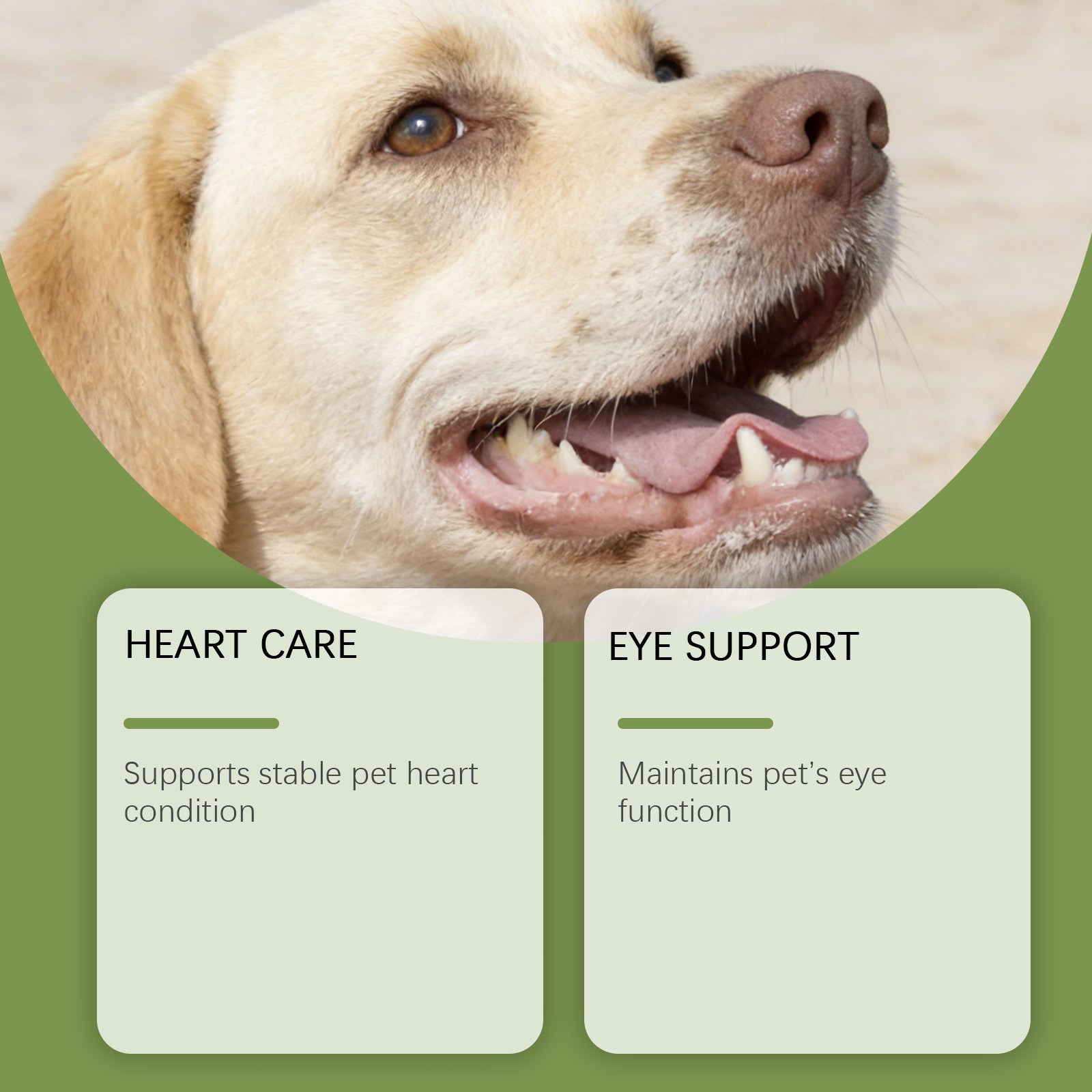 Kriath Taurine Powder For Dogs—A Gentle Formula That Nurtures Your Dog’S Well-Being, Providing Essential Daily Nutritional Care.