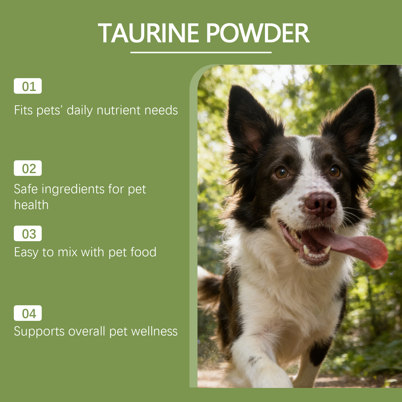 Kriath Taurine Powder For Dogs—A Gentle Formula That Nurtures Your Dog’S Well-Being, Providing Essential Daily Nutritional Care.