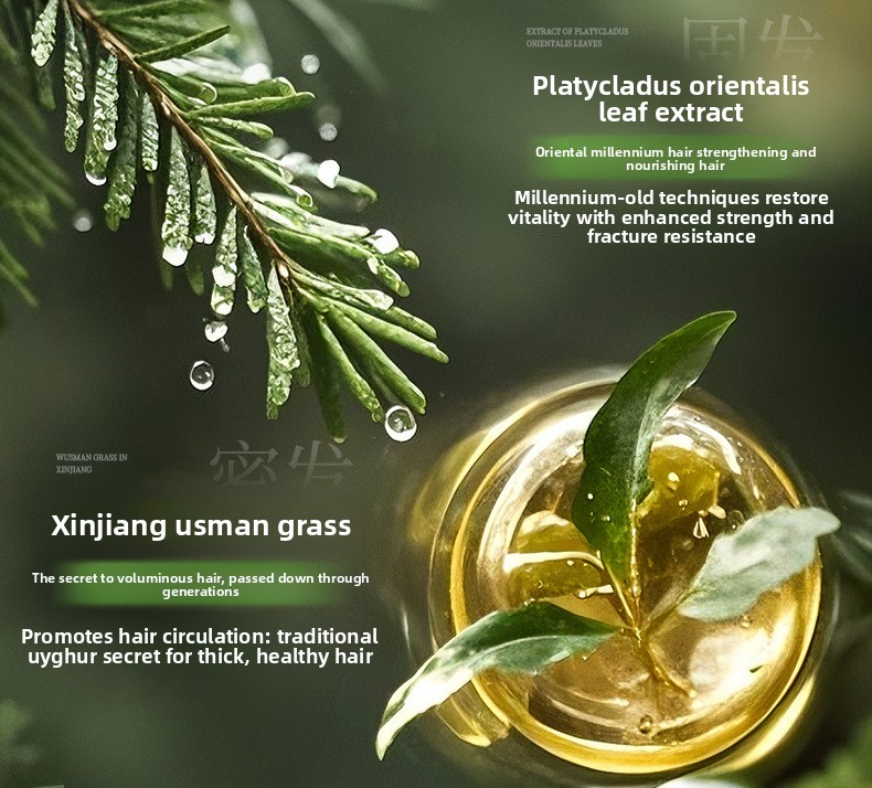 Platycladi - Composition