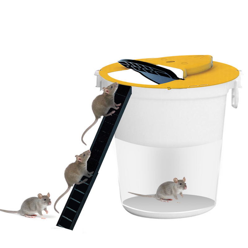 Indoor And Outdoor Mousetrap