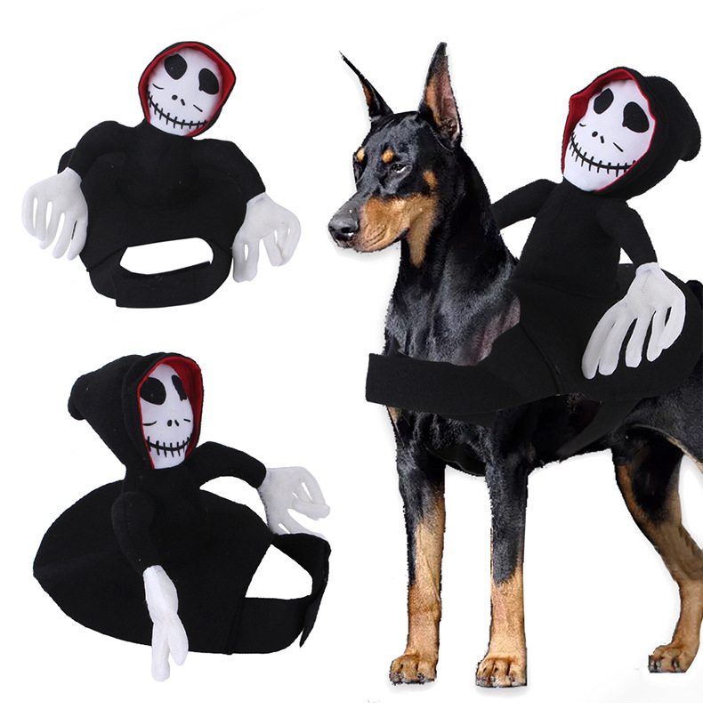 Halloween Pets Transformed Into Riding Costumes