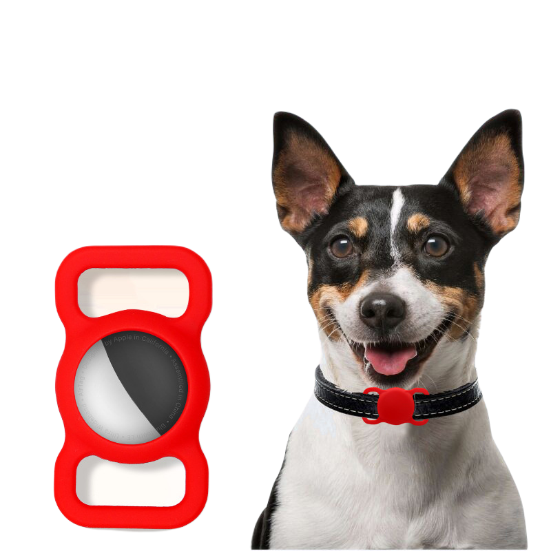 Dog Collar Tag Tracker